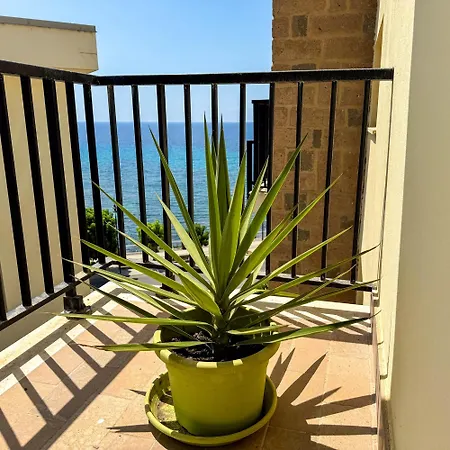 Alegria * Alghero