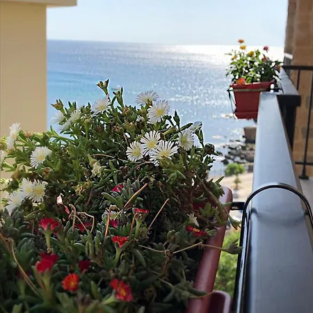 Alegria * Alghero